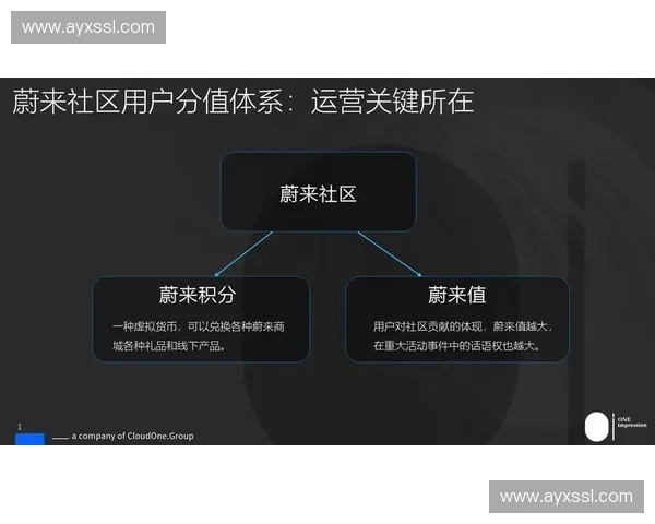 近年来积分体系绑定观赛行为,增加用户忠诚度。